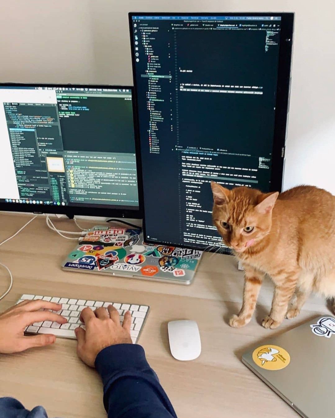 Automation Workflow